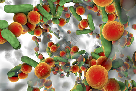 抗生素抗细菌的生物膜杆状和球形细菌大肠杆菌假单胞菌结核分枝杆菌克雷伯氏菌金黄色葡萄球菌耐甲氧西林金黄色葡萄球菌背景图片