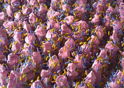 微绒毛肠道细菌微生物组3D插图设计图片