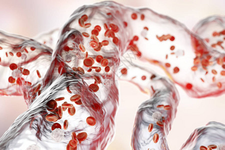 血管带流动血细胞的刺图片