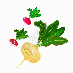 蔬菜矢量平方图图片