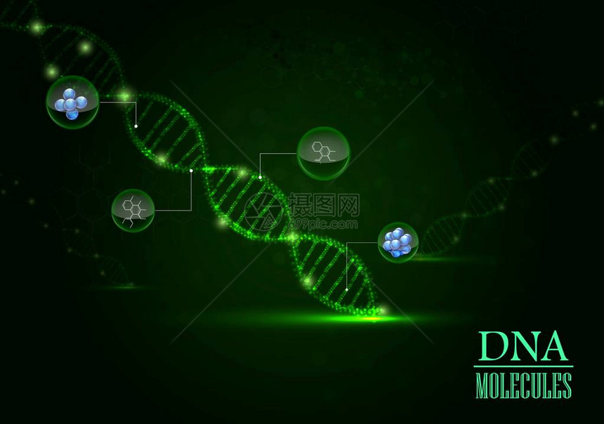 绿光背景DNA概念的矢量插示以绿图片