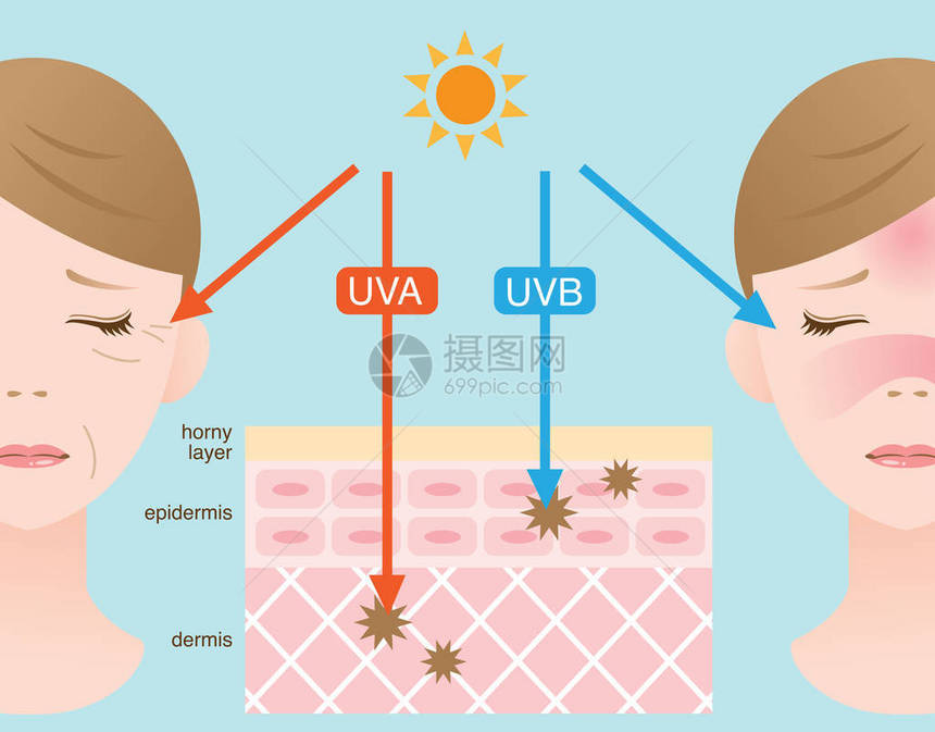UVA和UVB射线图片
