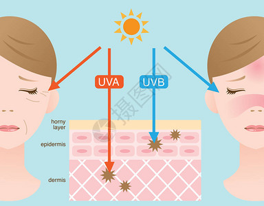 UVA和UVB射线图片