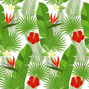 无缝的热带叶子和花朵棕榈龟背竹芙蓉和鸡图片