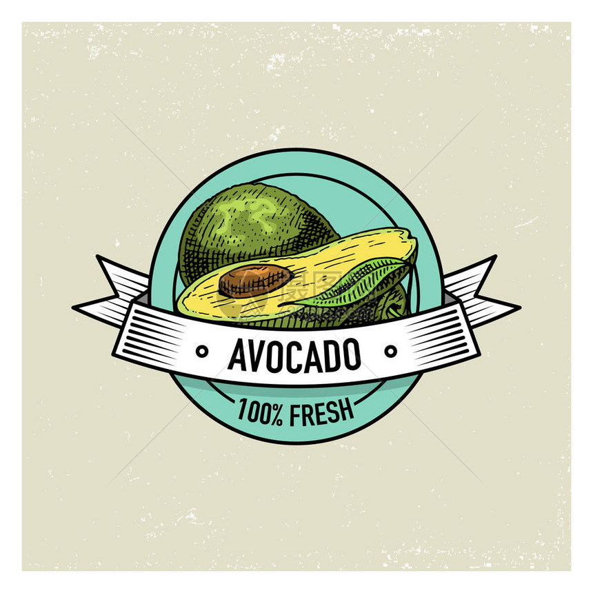 AvocadoVivantage手工提取新鲜水果背景夏季植物素食和有机图片