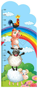 背景插图中农畜高度测量图与农场动物图片