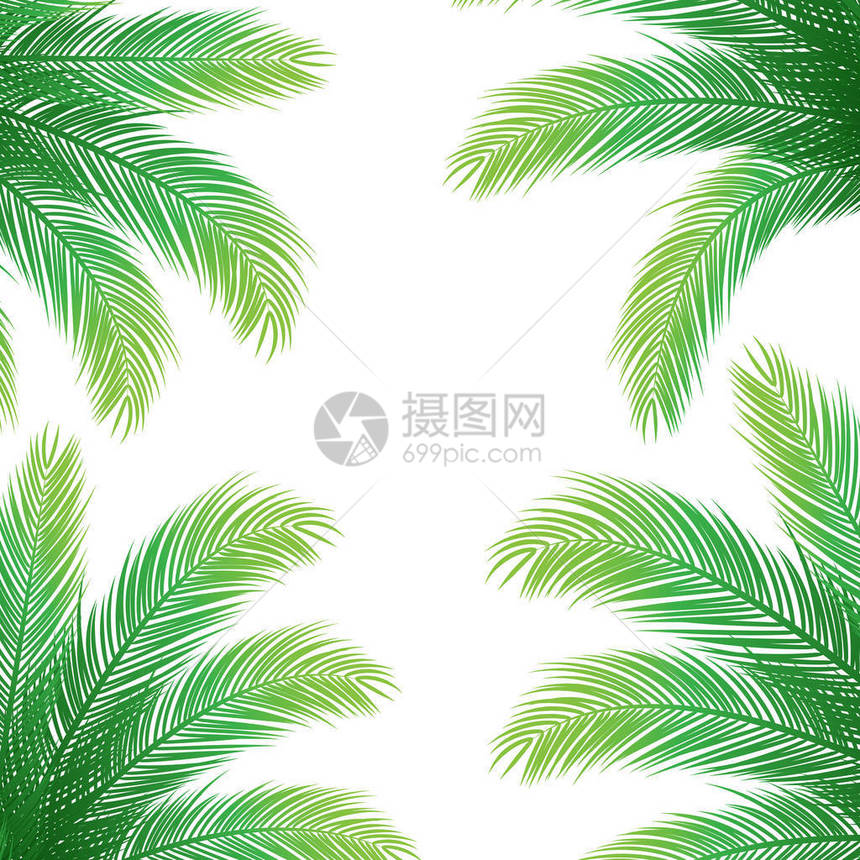 白色背景上的棕榈叶假日矢量设计图片