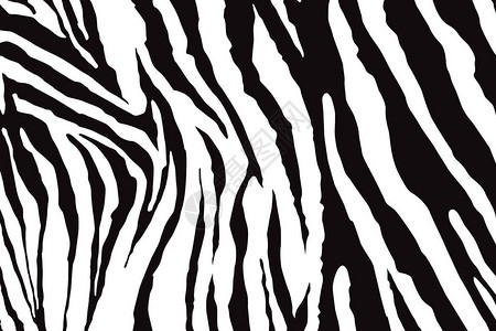 Zebra模式图片