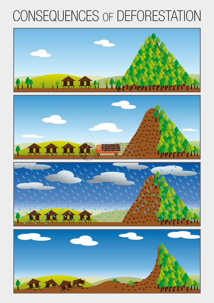 图表分4个步骤显示导致山体滑坡的森林砍伐的后图片