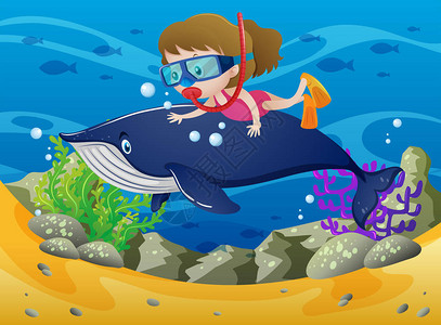 在海图下与鲸鱼一起潜水的女孩图片