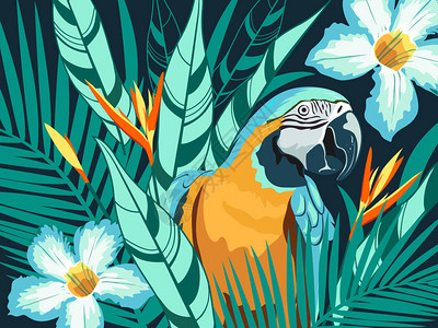 热带树叶和有鹦鹉背景的花图片