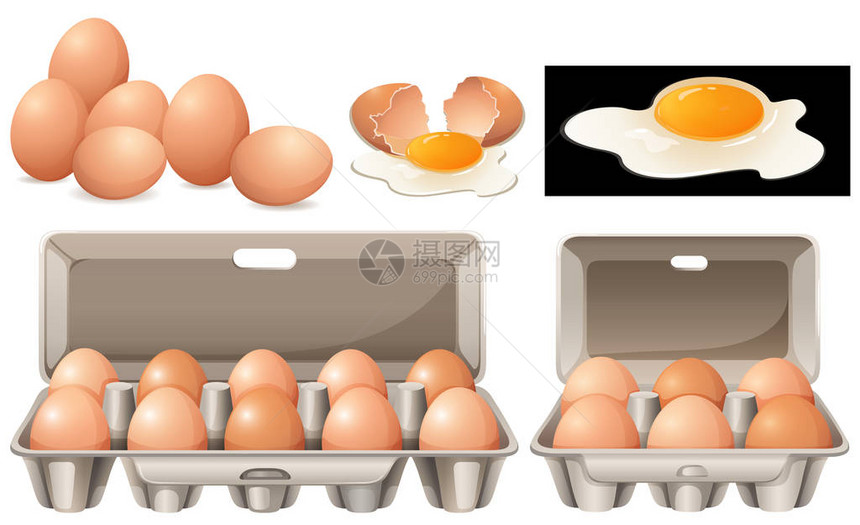 不同包装中的生鸡蛋插图图片