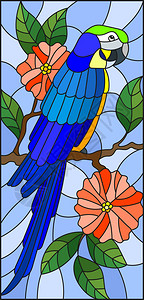 一只美丽的蓝色长尾小鹦鹉坐在图片