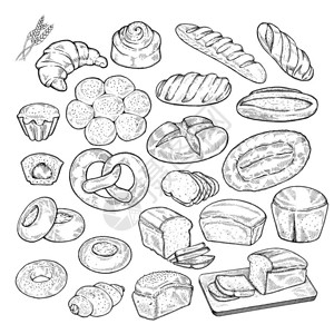 大量食品草图插手画面包和面包背景手写雕刻风格艺术元插画