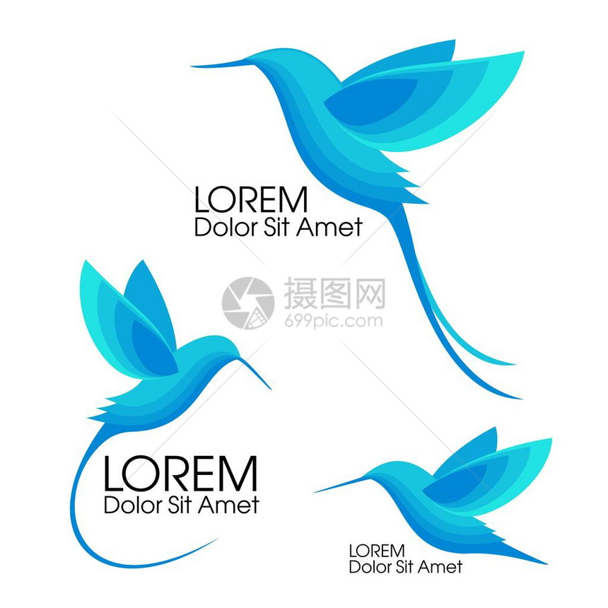 现代Set蓝鸟飞行中的Colibri标志标志和符号的典型最图片