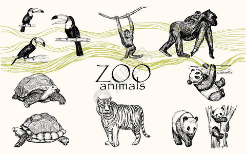 矢量手绘单色动物集图片