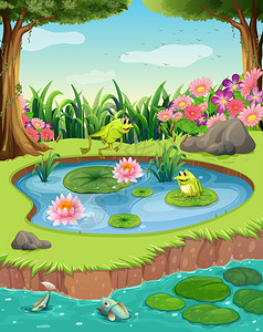 池塘里的青蛙和鱼插图图片