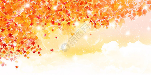枫叶秋景背图片