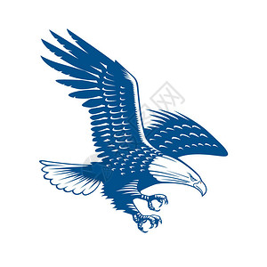 飞鹰的背景飞鹰标识概念图标插画