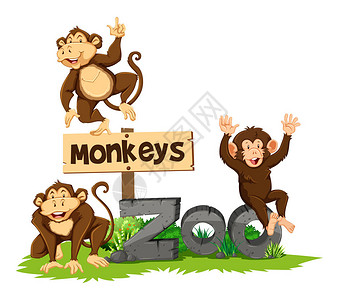 动物园里的三只猴子插画图片
