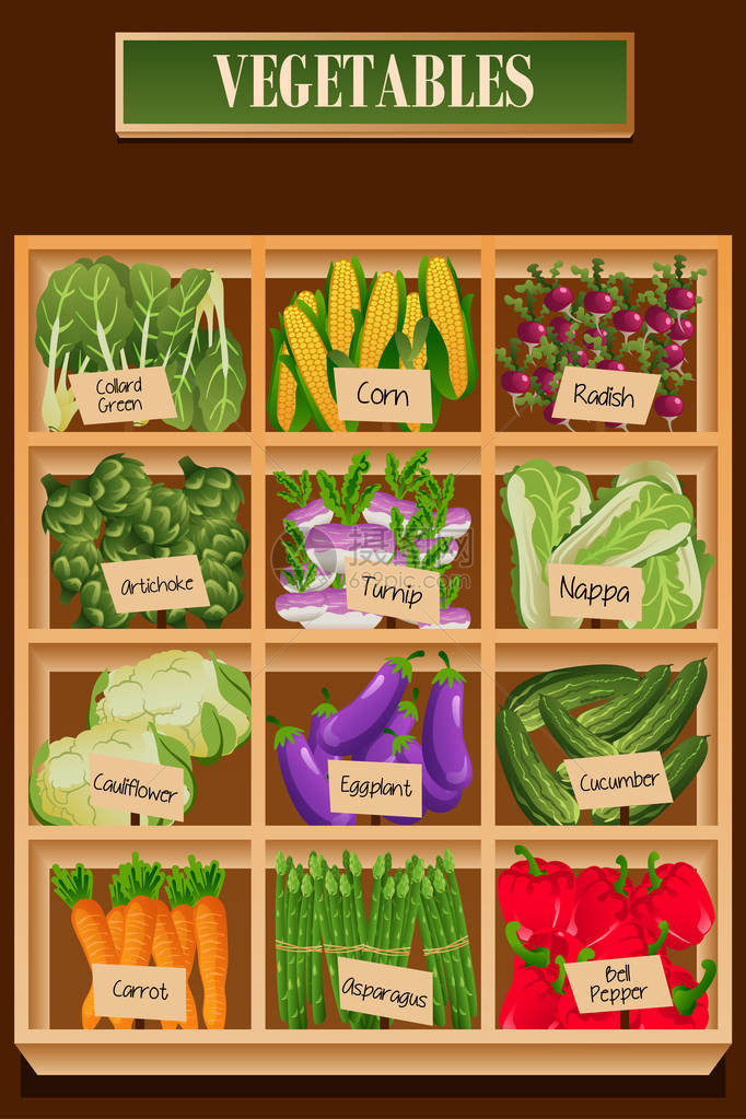 框中不同种类蔬菜的矢量图片