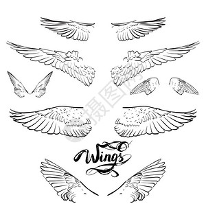 天使翅膀字图片