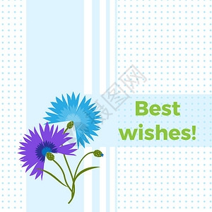 花卉贺卡与蓝色花矢车菊或紫花苜蓿的良好祝愿圆点背景卡通矢车背景图片