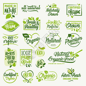 农产品宣传折页用于网络设计包装设计和宣传材料的矢量说明概念插画
