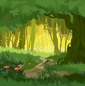 充满青蛙蘑菇和森林路径卡通风格的美丽绿色夏日林矢图片