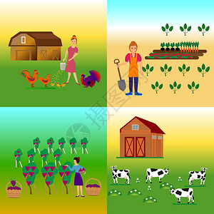 农业和农业农业综合企业乡村图片