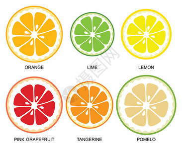 白色背景的柑橘类水果图片