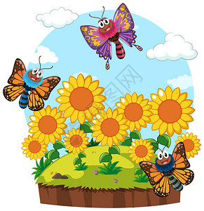蝴蝶恋花在向日葵花园插图中有蝴插画