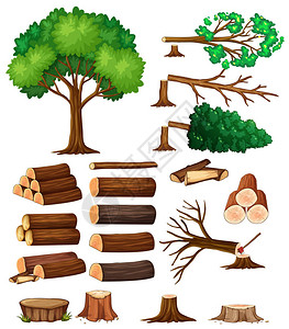 树和桩插图图片