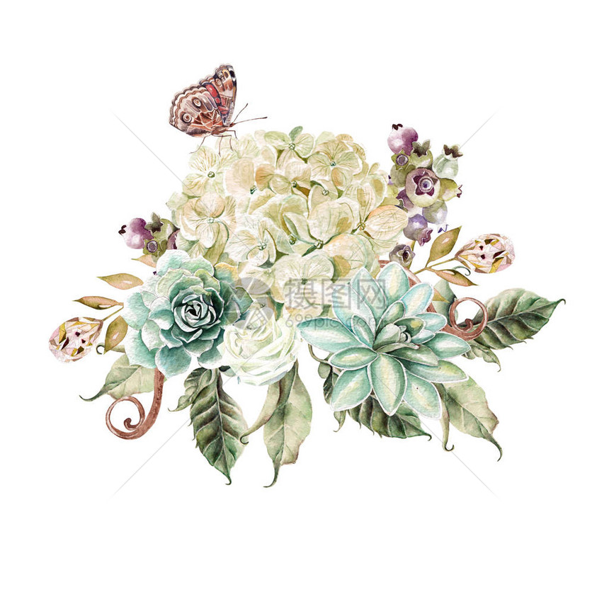与绣球花玫瑰和多肉植物的水彩花束插图图片