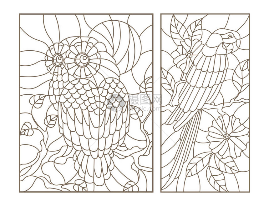 设置树枝上的斑玻璃鸟猫头鹰和鹦图片