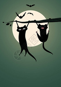 两只黑猫悬在树枝上月亮和蝙图片