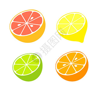 柑橘类水果系列矢量图背景图片