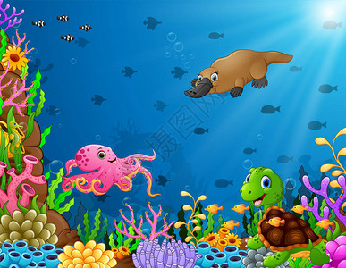 卡通热带动物与美丽的水下世界的矢量插图Cartoon图片