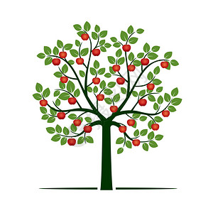 绿树配红苹果矢量图背景图片