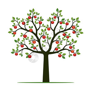 绿树与叶子和红苹果矢量图背景图片