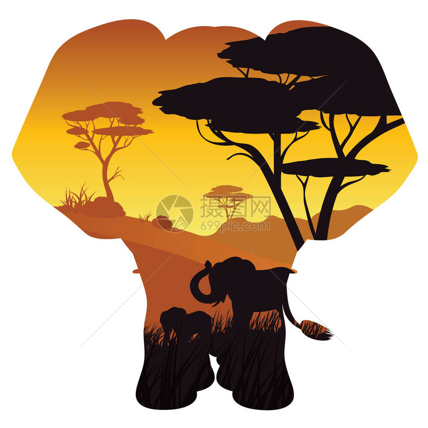 色彩多的日落场景非洲风景与树木图片