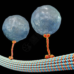 细胞内迁移动脉运动蛋白质传动分子通过微模体移图片