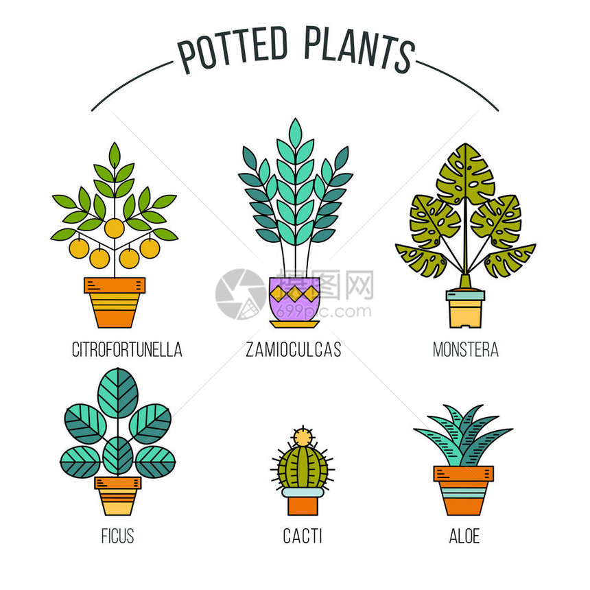 盆栽植物一套线图片