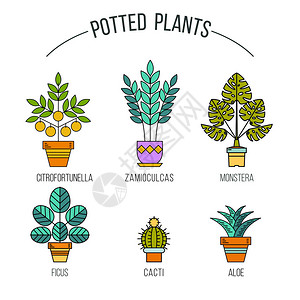 盆栽植物一套线图片