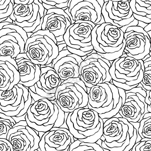 花朵装饰的黑白背景配有可爱的玫瑰图片