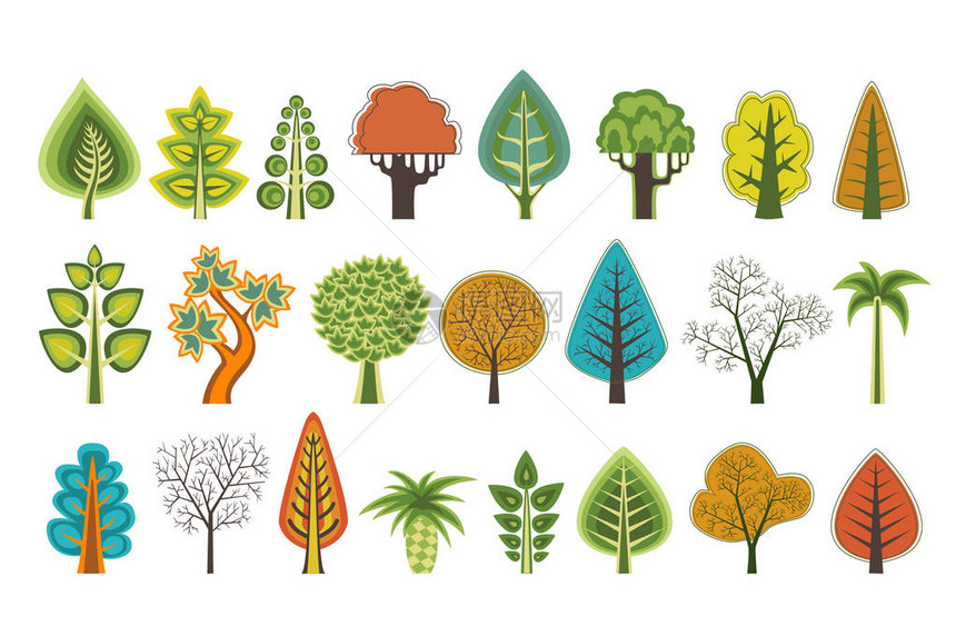 一组用于设计概念展示和名片生态植物学网站的各种自然类型和亚种树图片