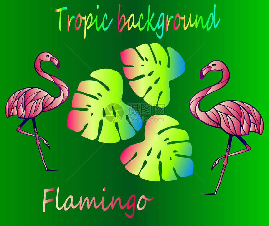 两只美丽的粉红色火烈鸟和热带树叶绿色渐变背景上的明亮热带背景海报图片
