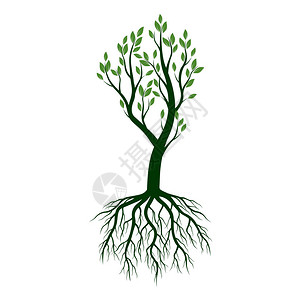有根的绿树矢量图背景图片