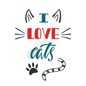 我喜欢猫手写关于猫的灵感引言字型母设计色彩多图片