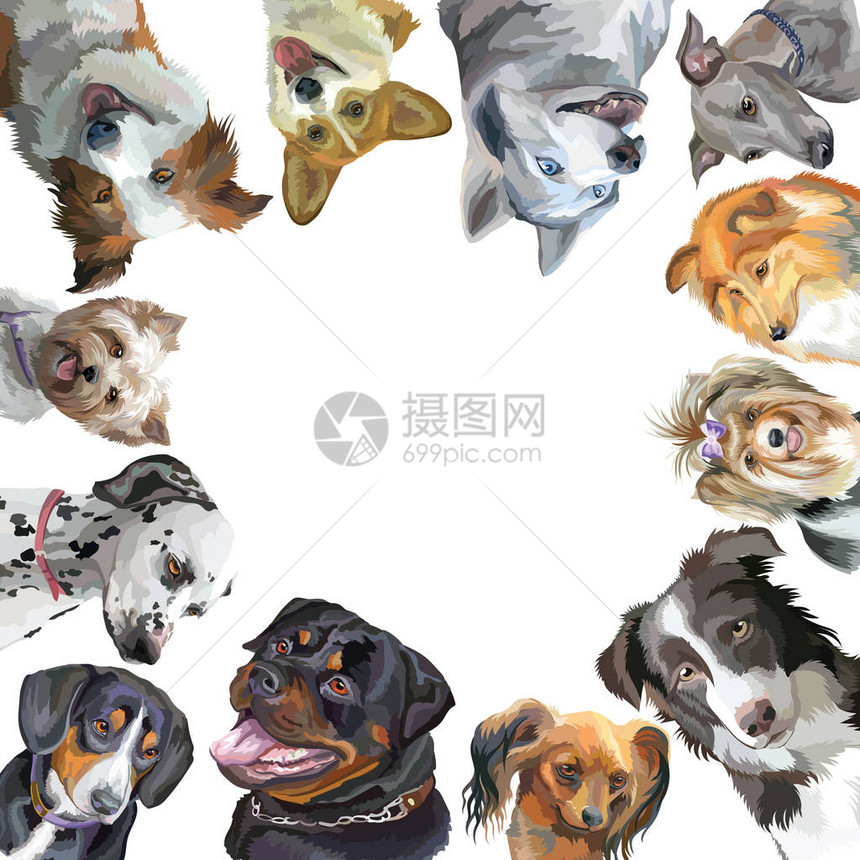 一组狗肖像不同品种图片